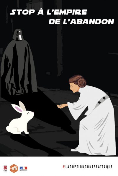 abandon_24x35,2-Variante-3-lapin
